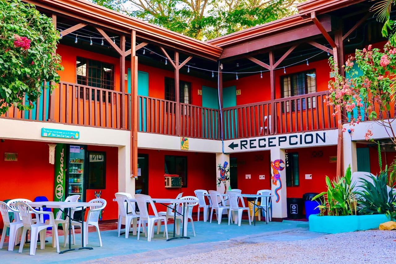 ホテル Blue Iguana Sámara エクステリア 写真