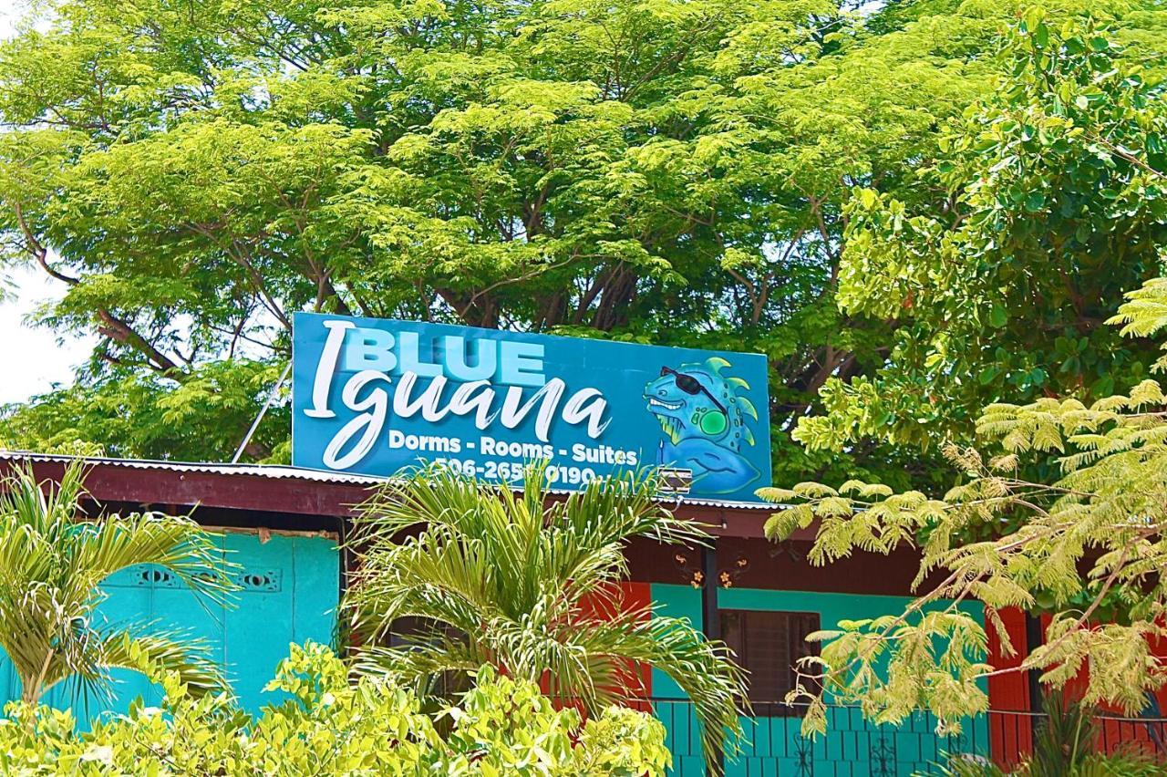 ホテル Blue Iguana Sámara エクステリア 写真