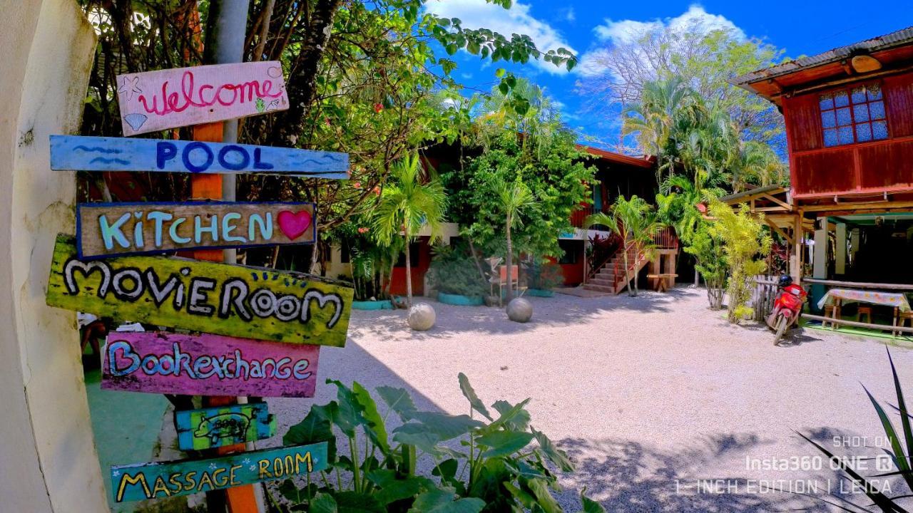 ホテル Blue Iguana Sámara エクステリア 写真